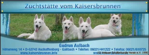 Weiße Schäferhunde Züchter Aschaffenburg - Bayern in der Mitte von Frankfurt und Würzburg